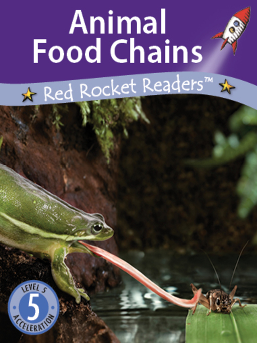 Cover image for Animal Food Chains